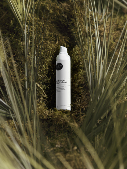 Anti-Age Day Cream For Men